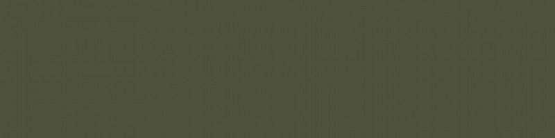 RAL 6003 (Olive green)
