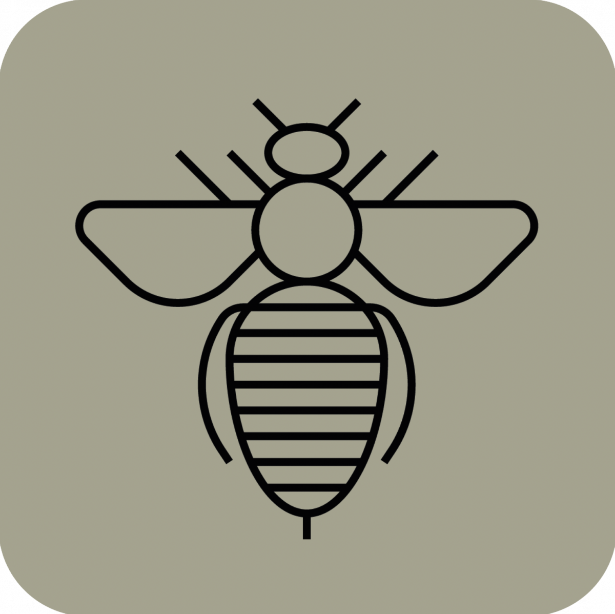 bee