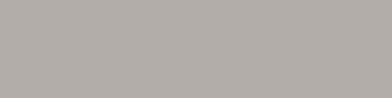RAL080 70 05 (Garlic Beige)