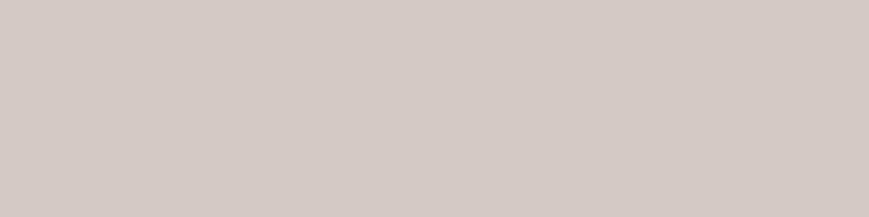 RAL 060 80 05 (Light Chamois)