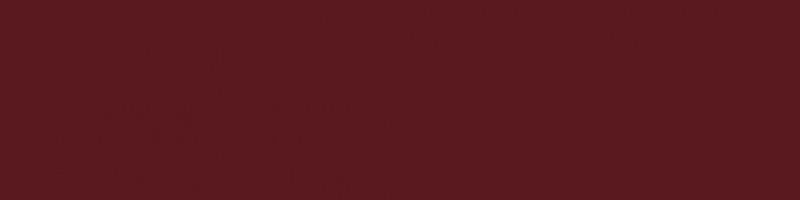 RAL 3005 (Wine red)