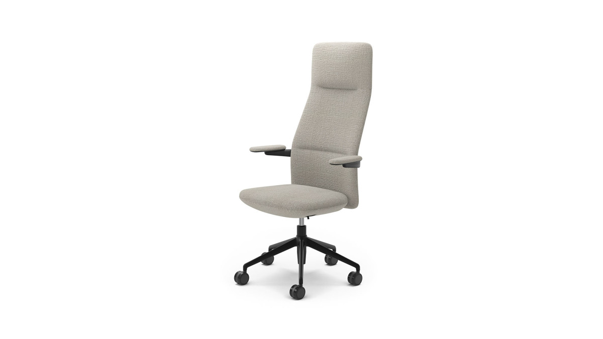 Modus Balance chair BAL004 2 v2